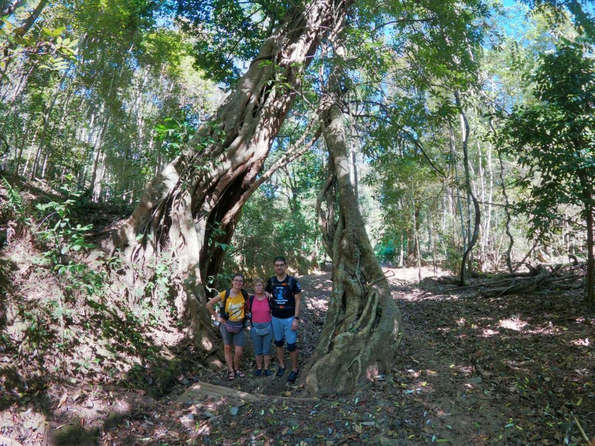 Homestay Gj Tour Pang Mapha