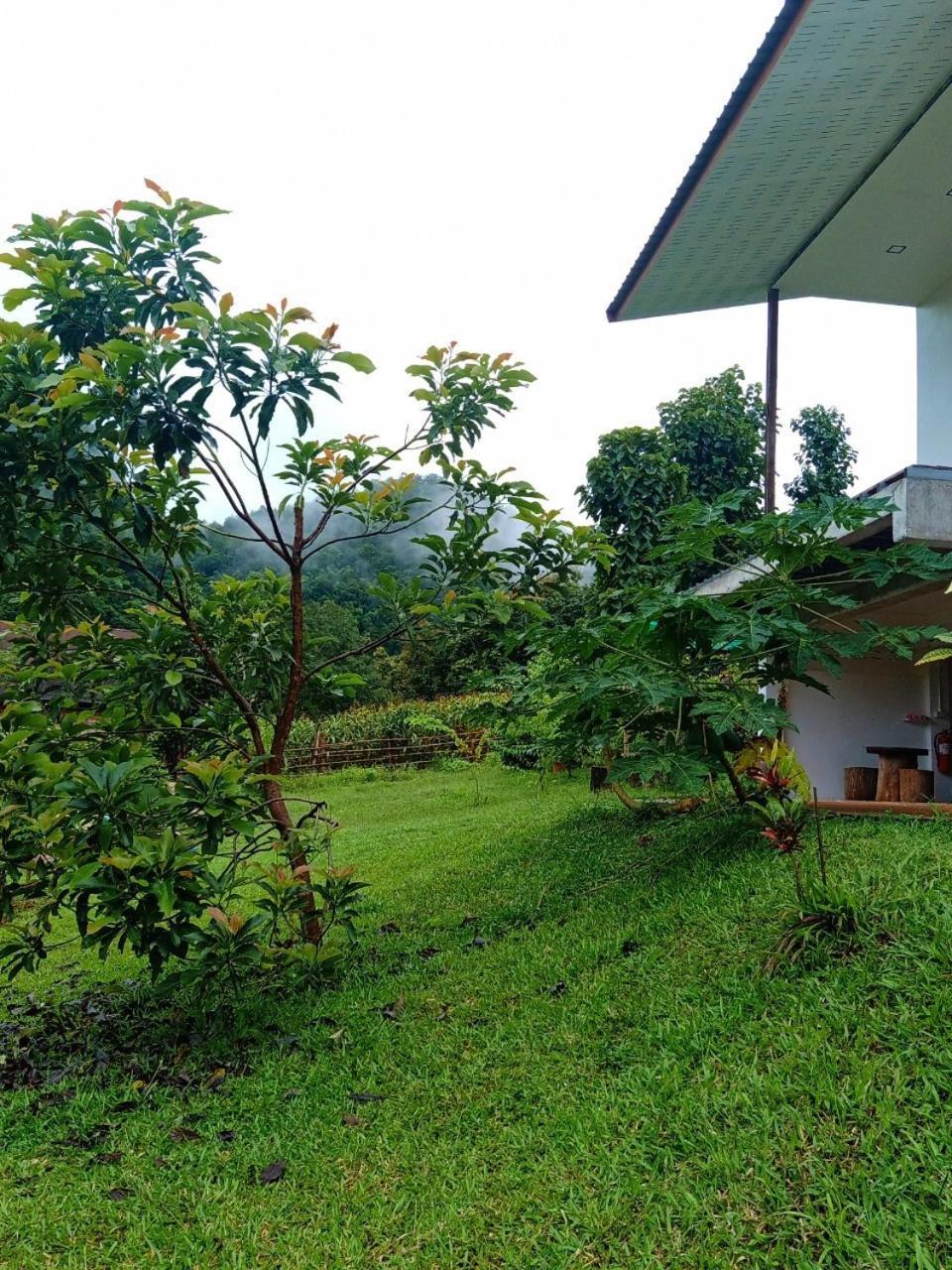 Homestay Gj Tour