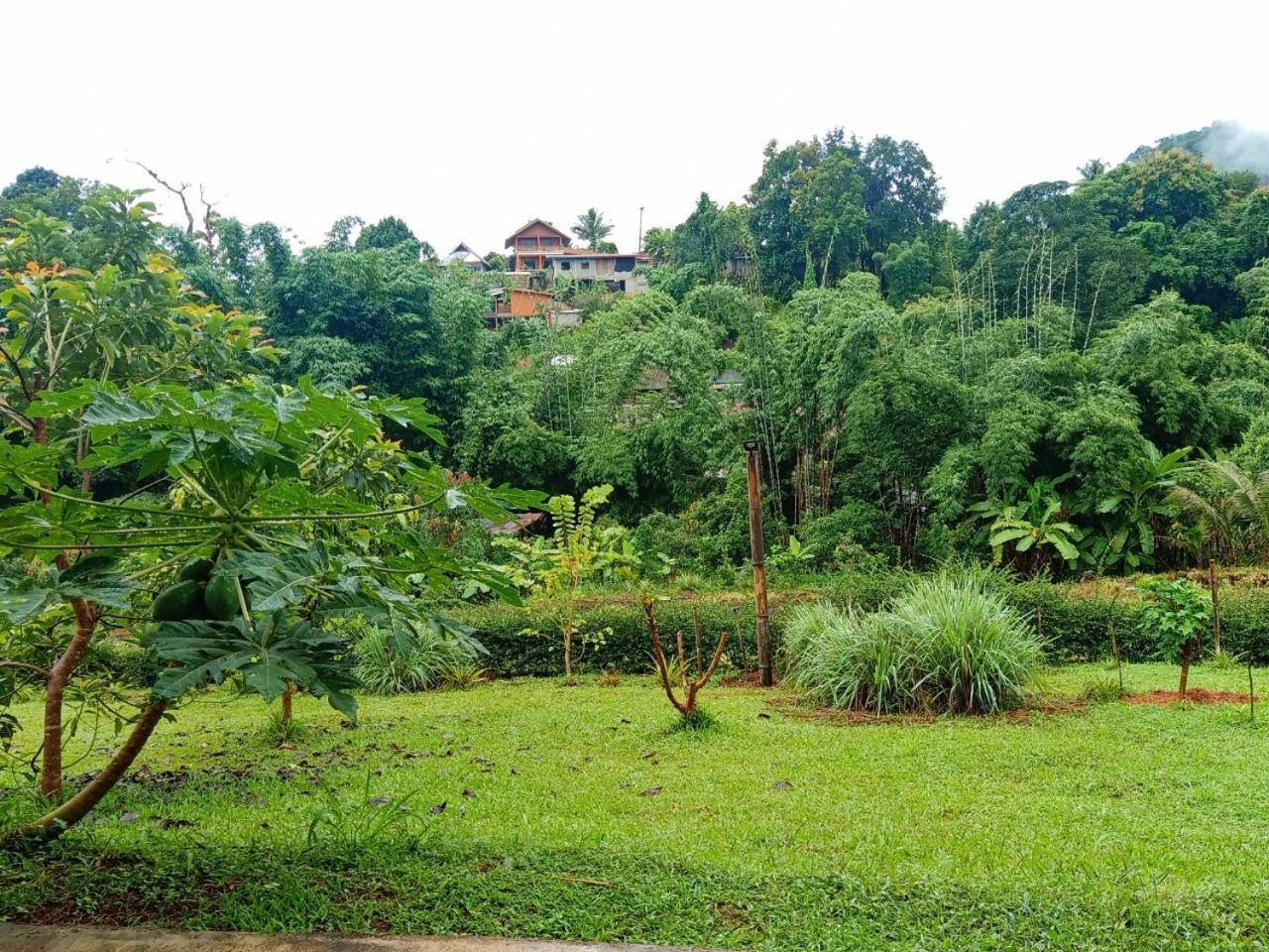 Gj Tour Homestay